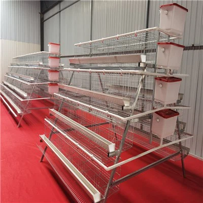 4 Levels 5 Door Chicken Layer Cage